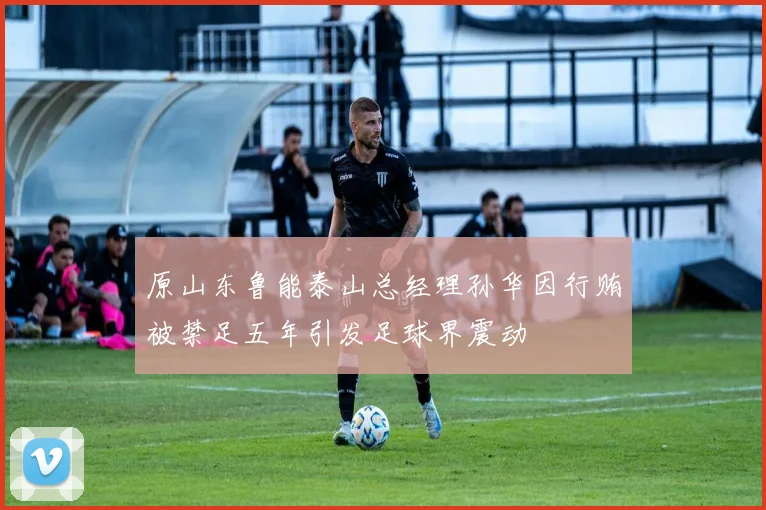原山东鲁能泰山总经理孙华因行贿被禁足五年引发足球界震动