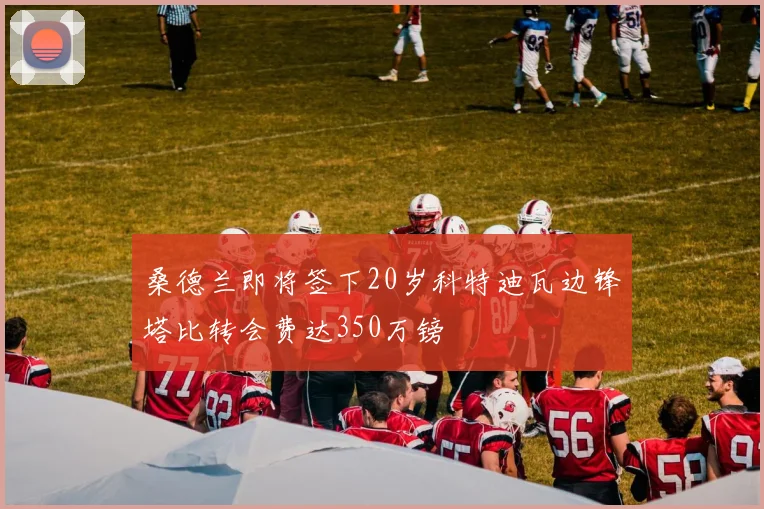 桑德兰即将签下20岁科特迪瓦边锋塔比转会费达350万镑